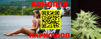 герыч Моздок